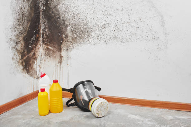 Best Crawl Space Mold Removal  in Camden, AR