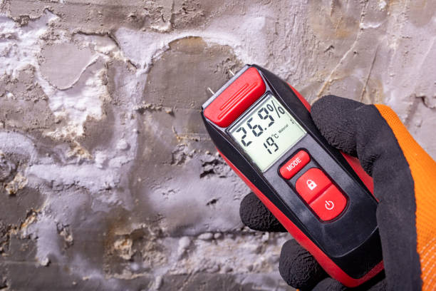 Best Water Damage Restoration  in Camden, AR