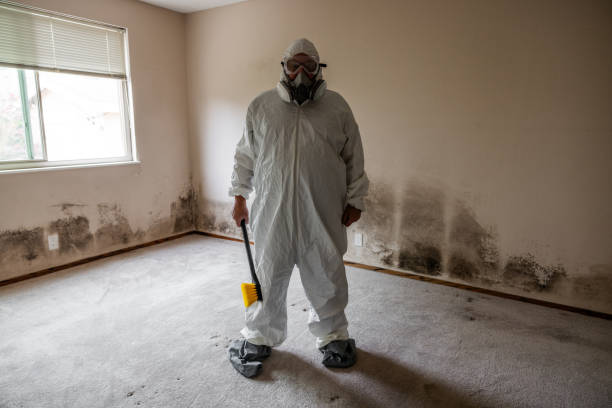 Best Toxic Mold Removal  in Camden, AR